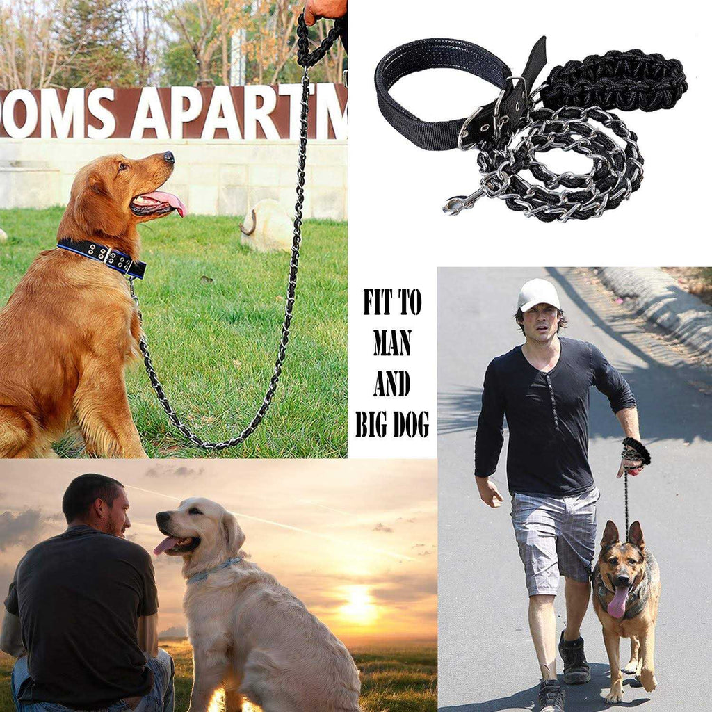 Metal Dog Leash with Collar I221120