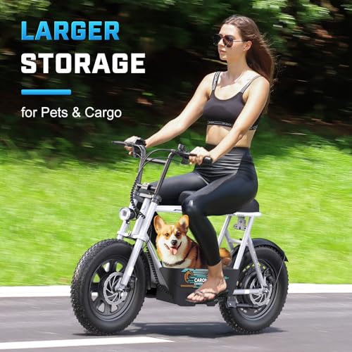 16" All Terrain Fat Tire Electric Scooter with Seat C25420