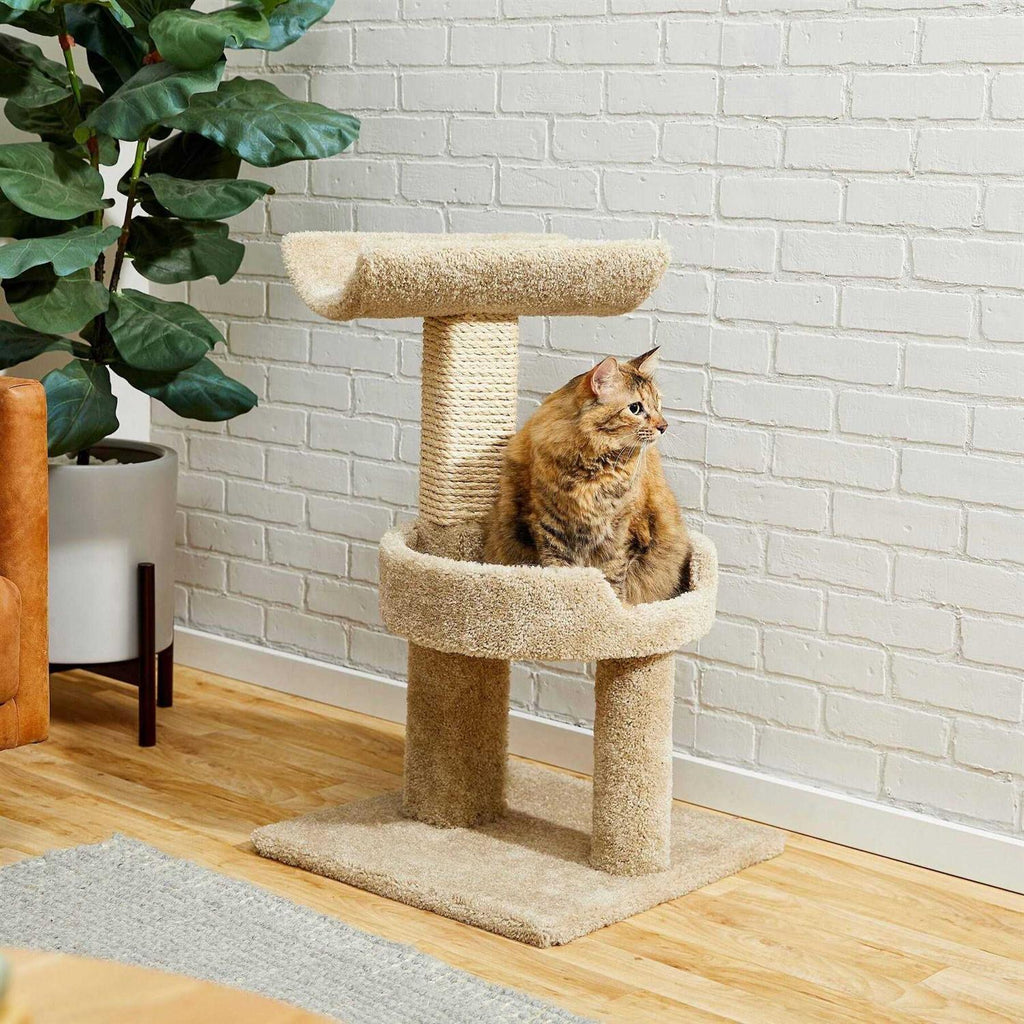32-in Wooden Cat Tree B723