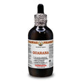Guarana Dry Seed Liquid Extract 4 Fl.Oz J631016