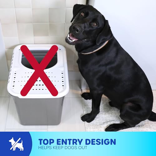 Top Entry Cat Litter Box With Filter Lid Q68633