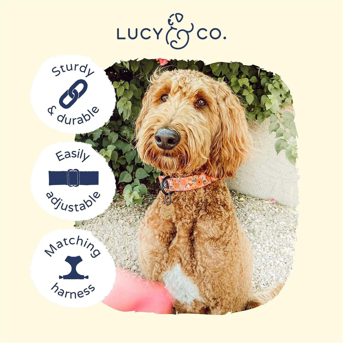 Pink Dog Collar A544
