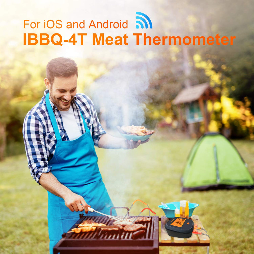 WiFi Meat Thermometer with 4 Probes & Hard Carrying Case E29365
