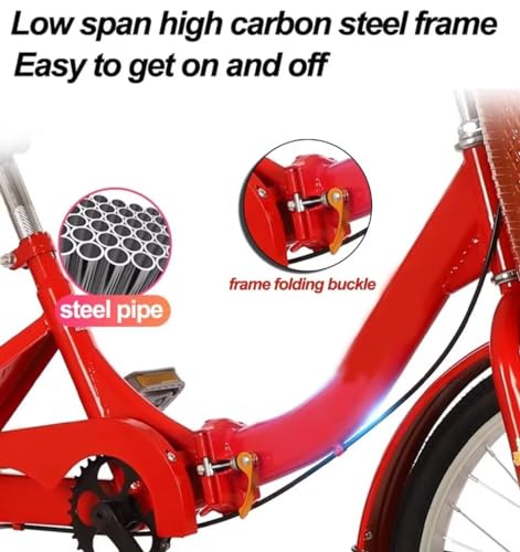 Folding Adult Tricycle with Back Seat, 3 Wheels W7348