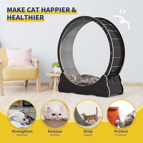Solid Wood Cat Exercise Wheel with 2 Anti-Scratch Pads Y529917