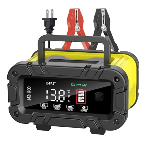 20A 12/24V Automatic Smart Battery Charger R769