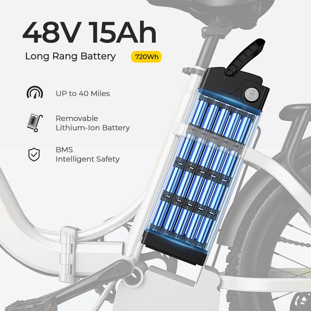 48V 15AH 750W Folding Electric Bike 20" Fat Tire C362