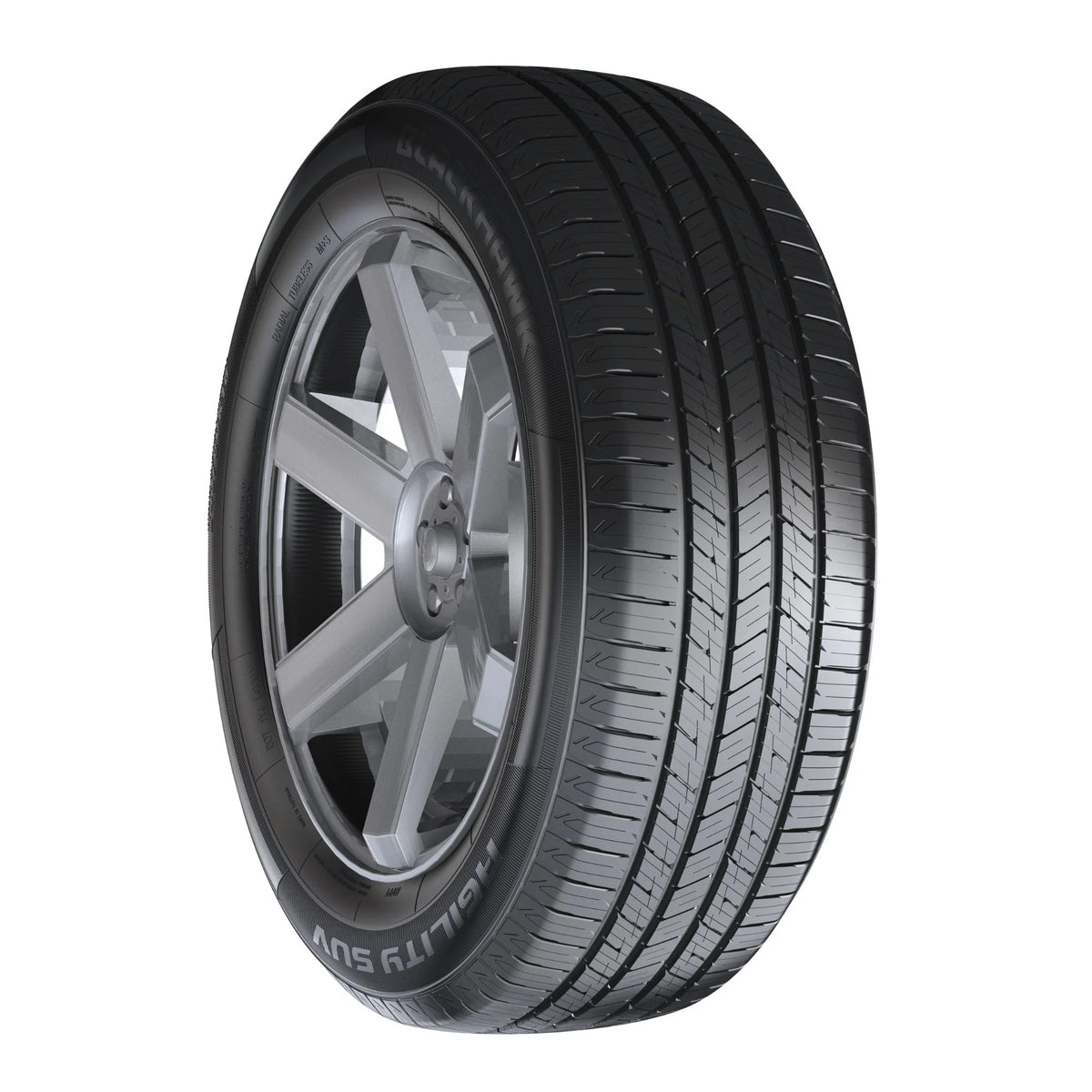 255/55R20 All Season SUV/Crossover Tire M310