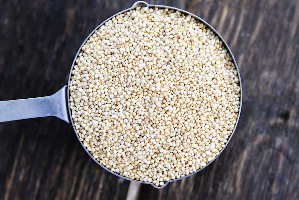 White Quinoa Seeds 25 Pound Box E900