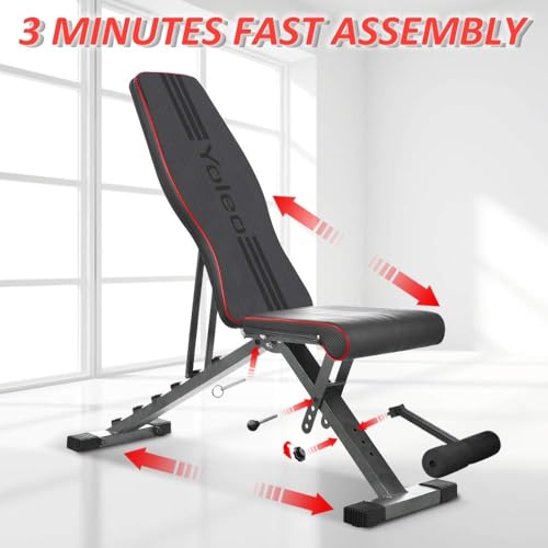 Adjustable Foldable Weight Bench 330 lbs Capacity I372