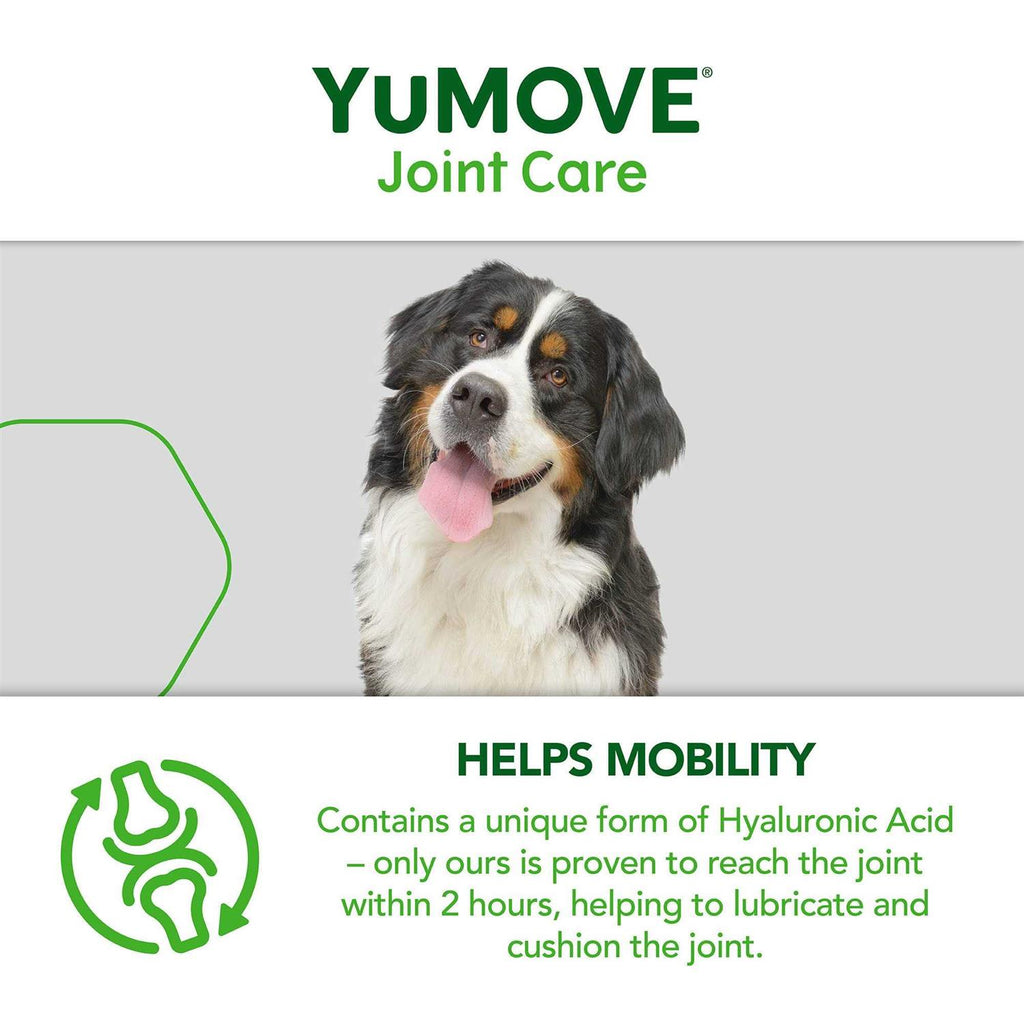 Joint Supplement for Senior Dogs R475992