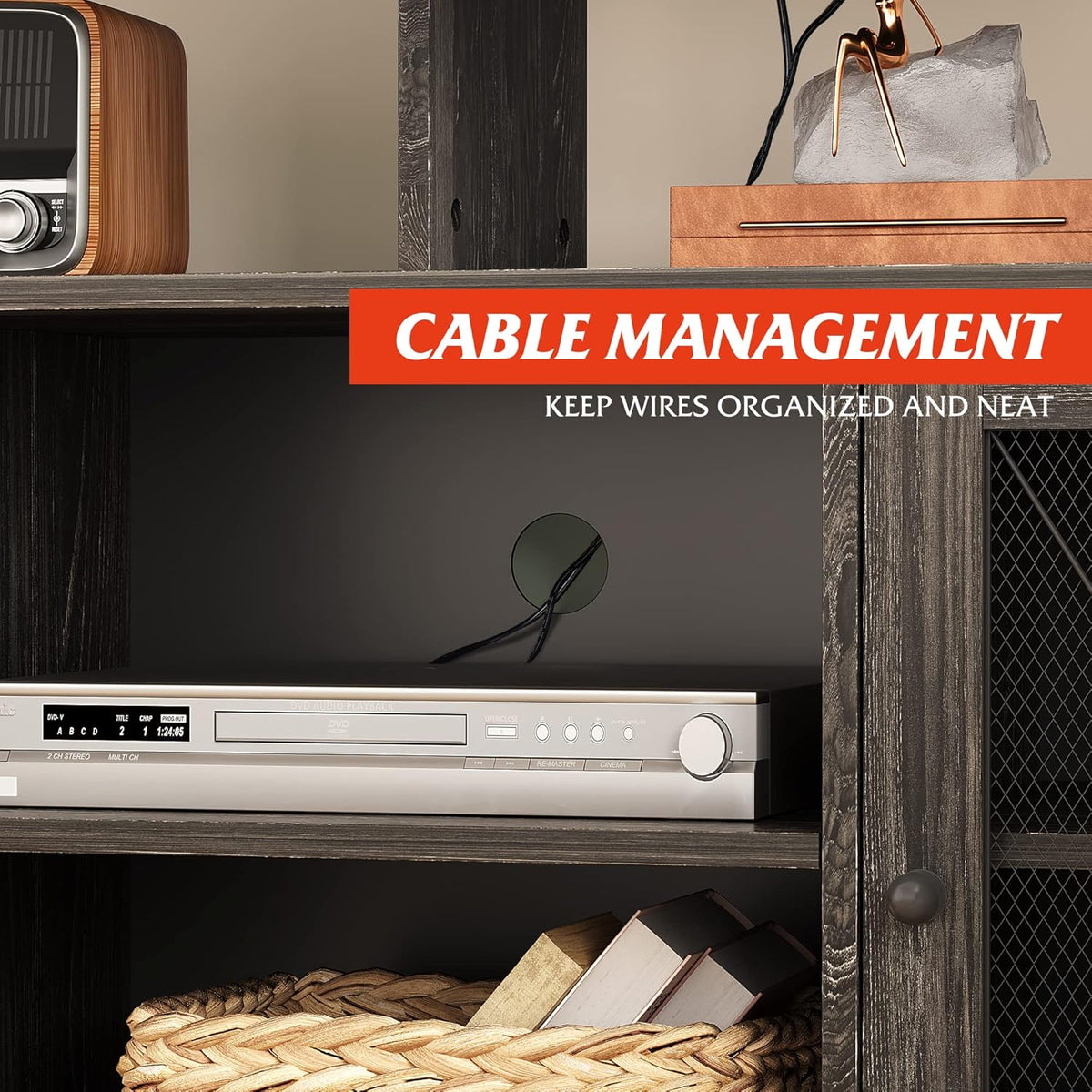 55 inch TV Stand with Storage Cabinet G2530