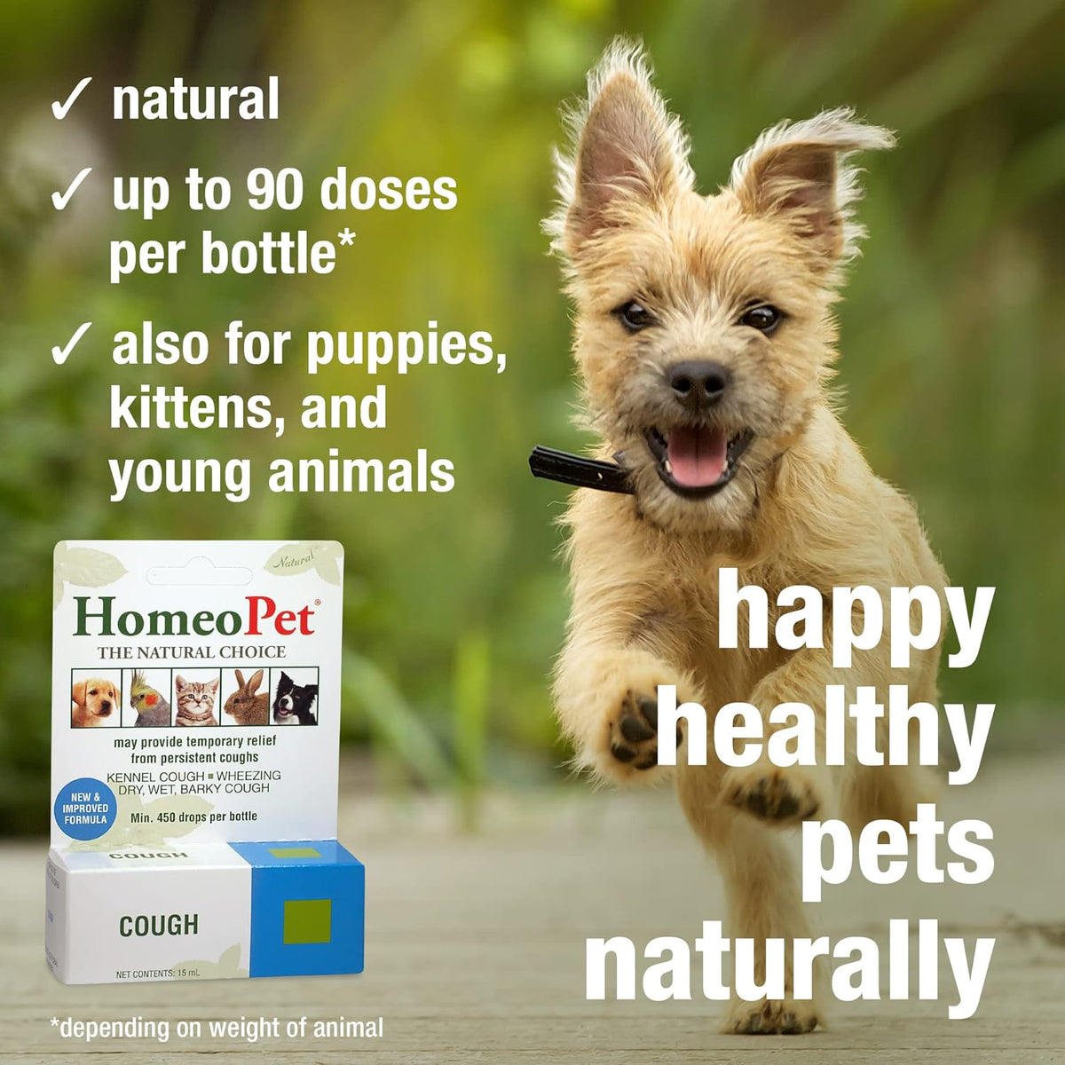 15 Milliliters Natural Cough Medicine for Pets T4745