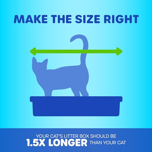 Top Entry Cat Litter Box With Filter Lid Q68633
