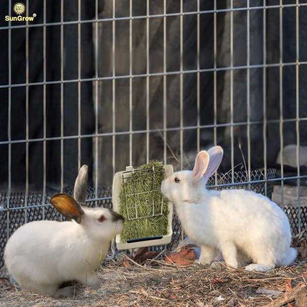 Rabbit Bunny & Guinea Pig Hay Feeder Rack Food Dispenser B890