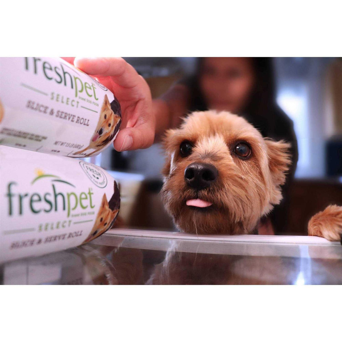 Grain Free Wild Alaskan Pollock & Atlantic Salmon Recipe Dog Food M97643