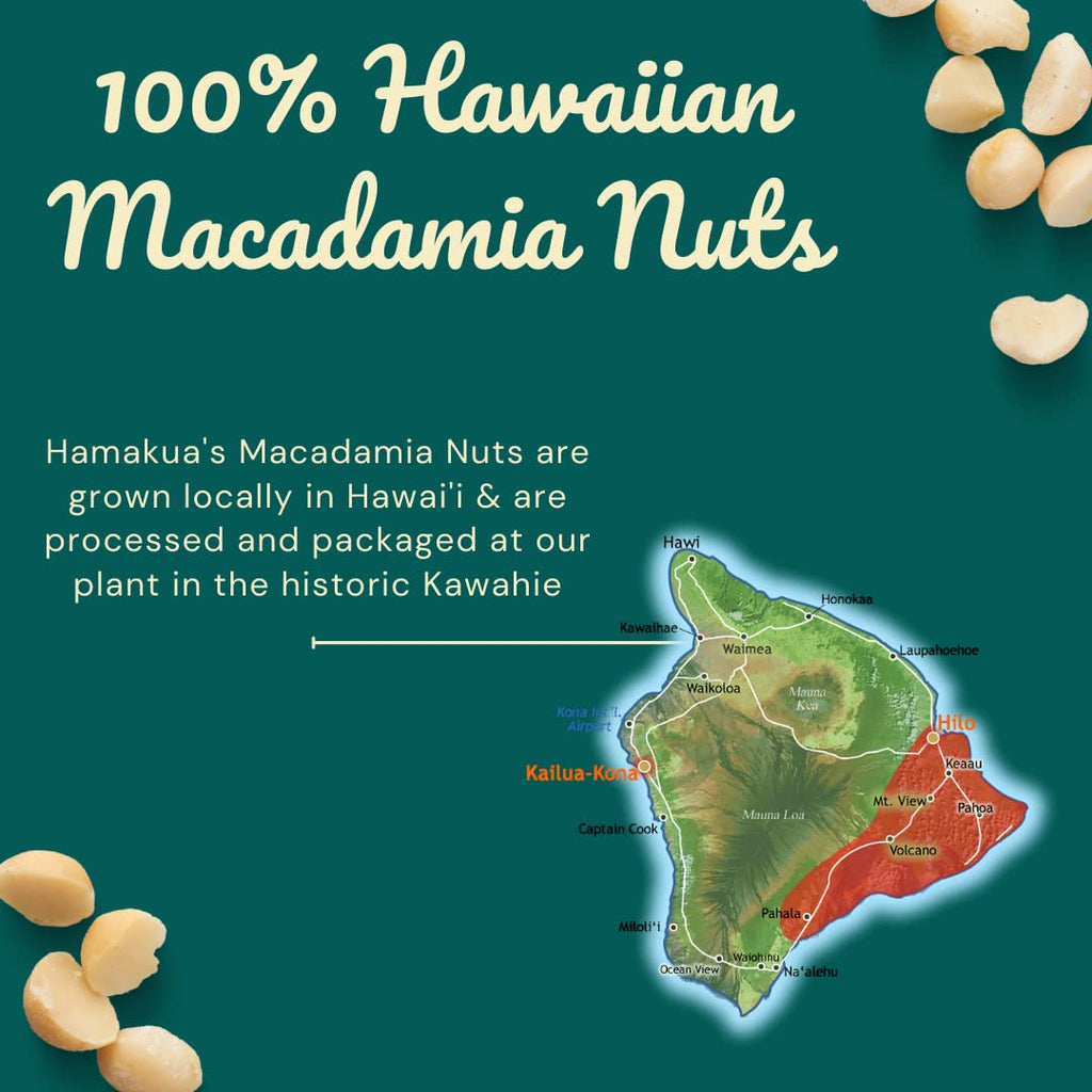 Macadamia Nut Coffee Brittle Z5355