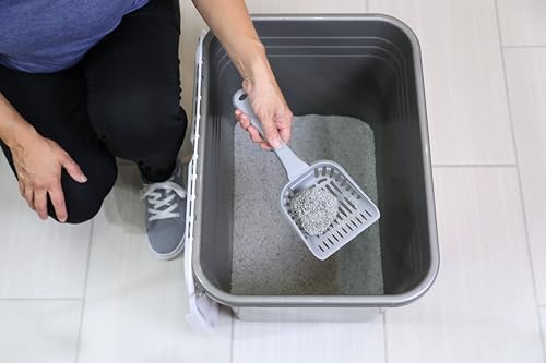 Top Entry Cat Litter Box With Filter Lid Q68633