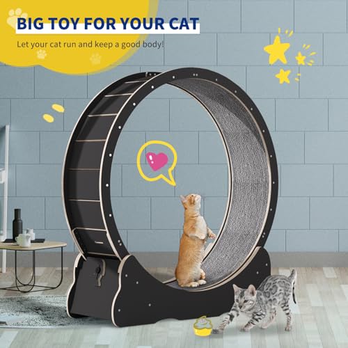 Solid Wood Cat Exercise Wheel with 2 Anti-Scratch Pads Y529917