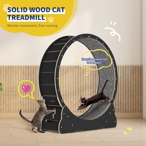 Solid Wood Cat Exercise Wheel with 2 Anti-Scratch Pads Y529917