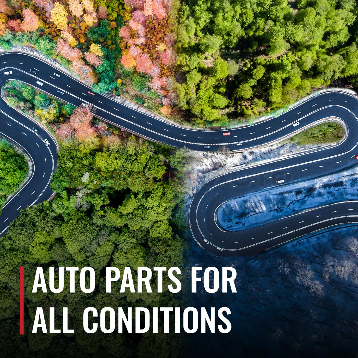 Automatic Transmission Fluid compatible with Toyota Corolla A556