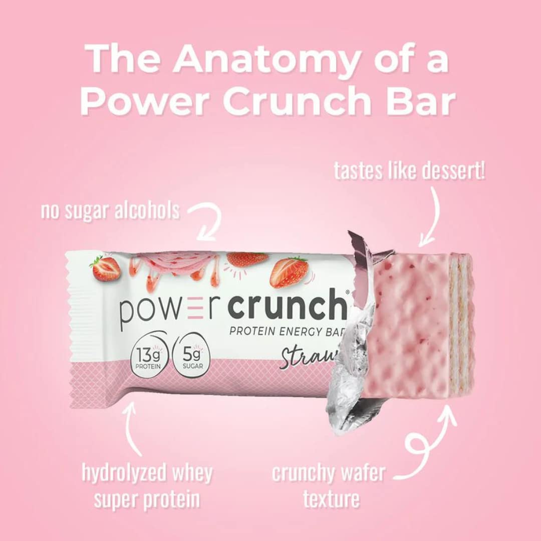 10 Count Variety Sampler Pack Whey Protein Bars O932