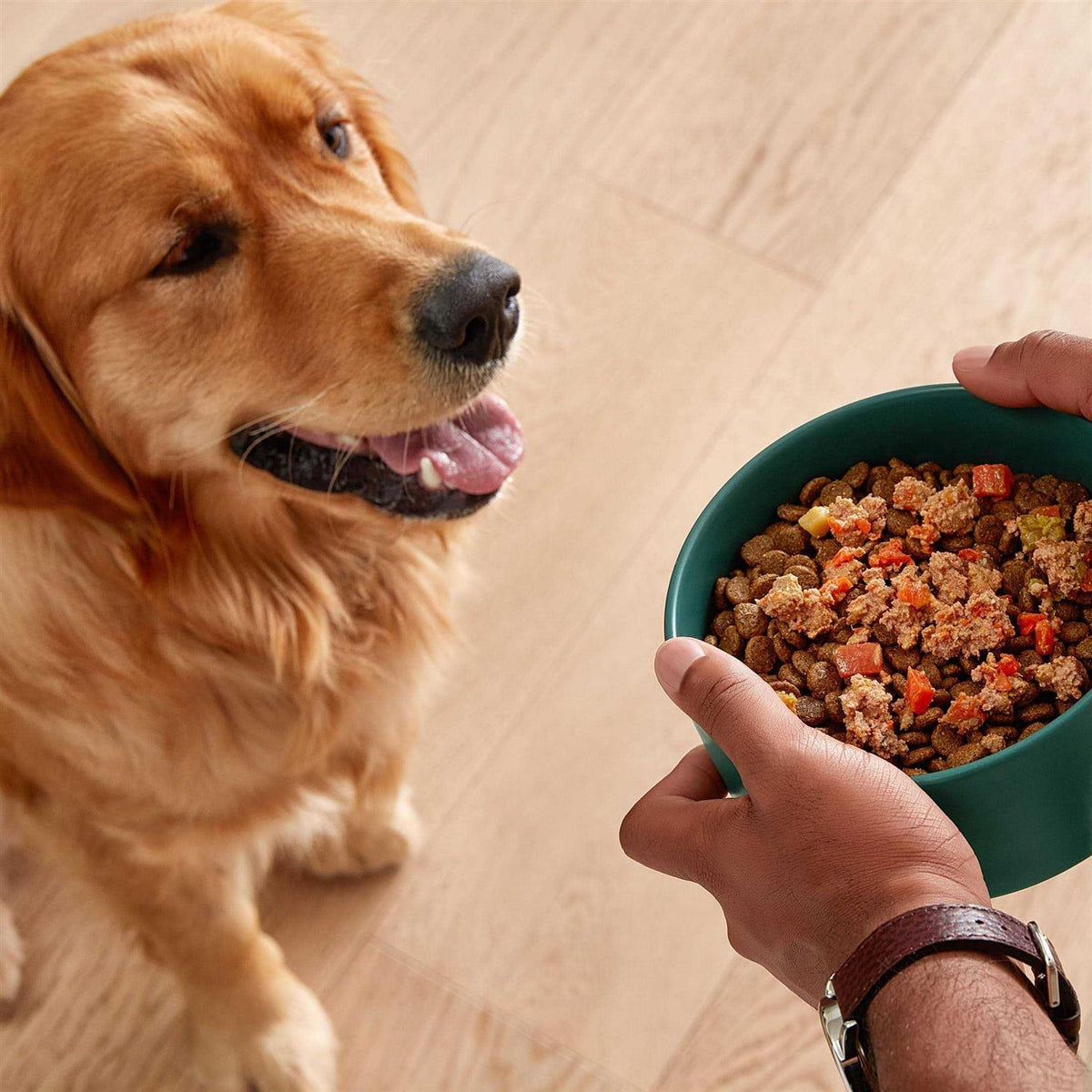 Grain-Free Wet Dog Food S788402