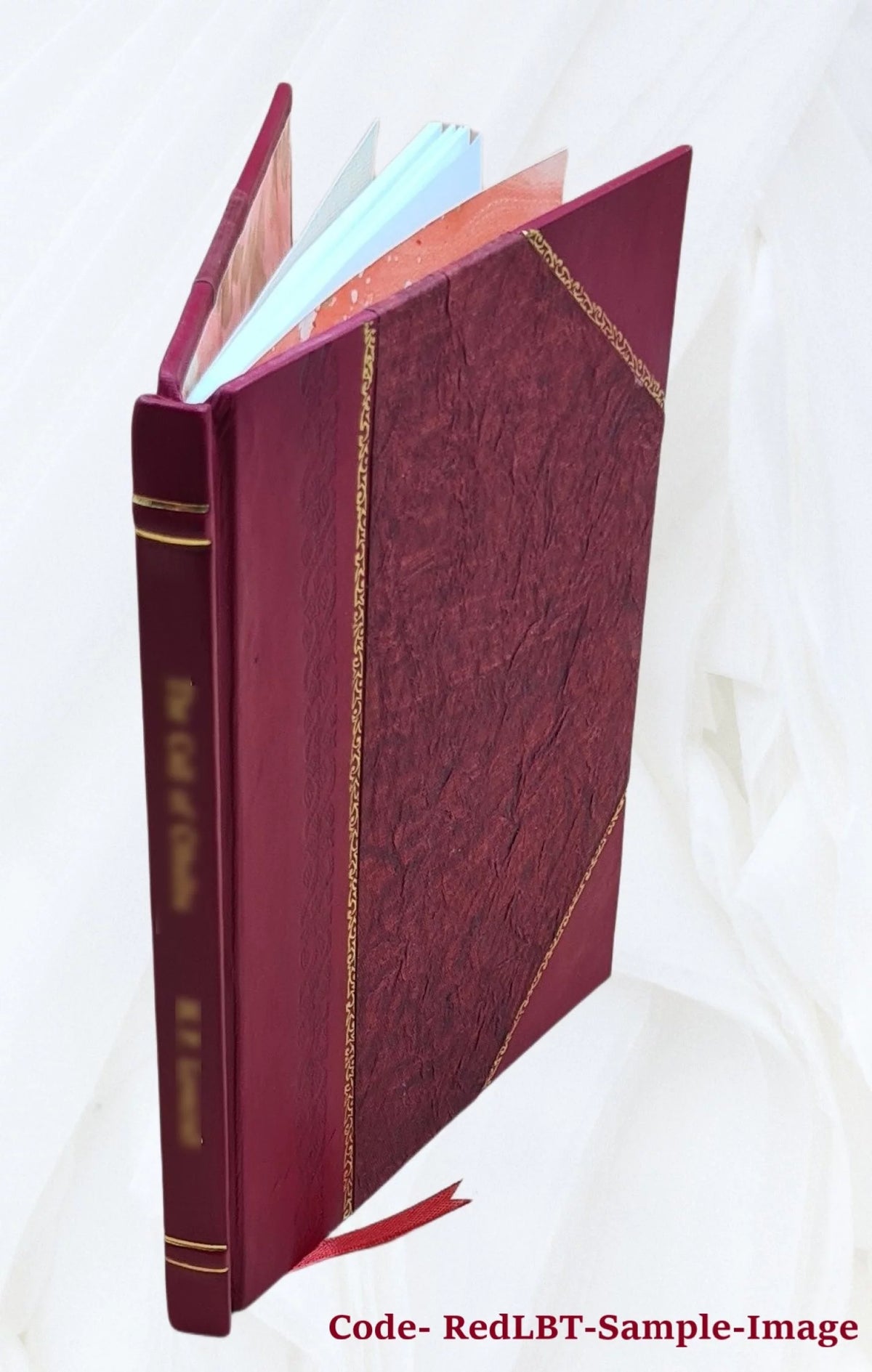 1920 Seed Catalogue Leather Bound D57321