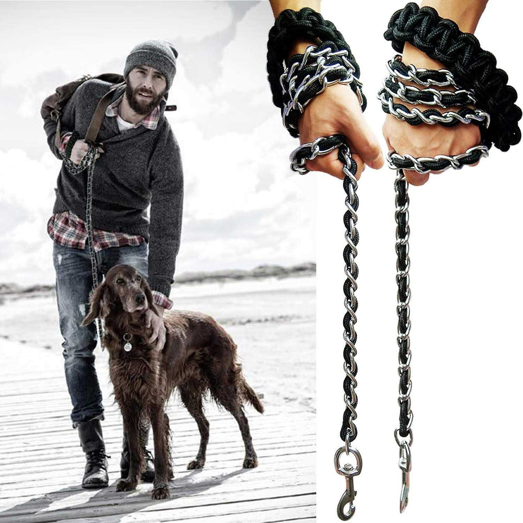 Metal Dog Leash with Collar I221120