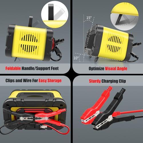 20A 12/24V Automatic Smart Battery Charger R769