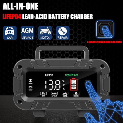 20A 12/24V Automatic Smart Battery Charger R769