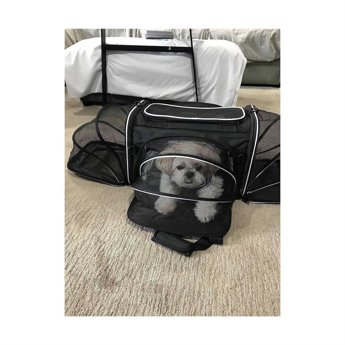 Soft Sided Pet Carrier 4 Expandable Collapsible U164901