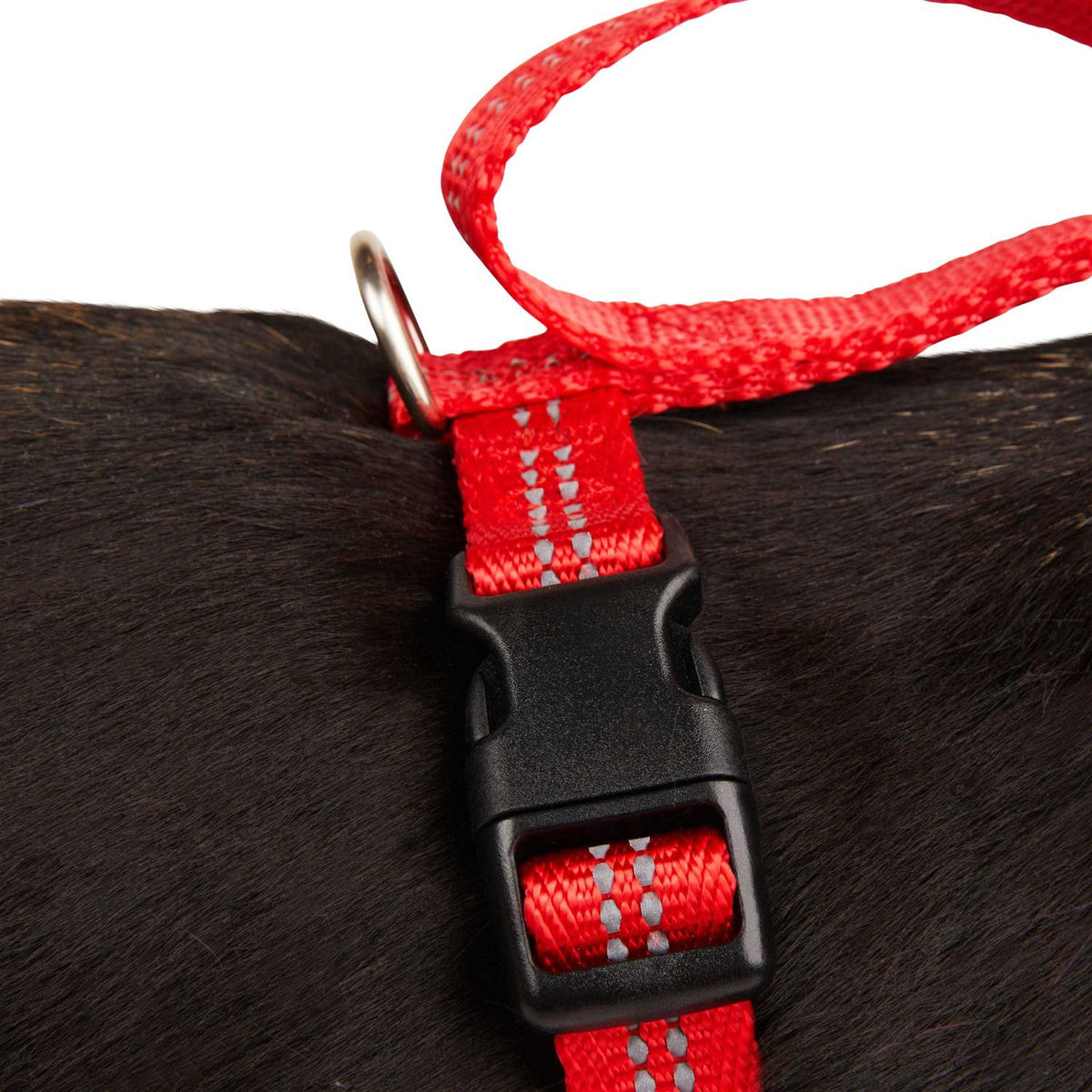 Reflective Dog Harness T1575