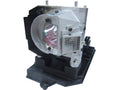 Replacement Lamp R304