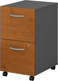 2 Drawer Mobile File Cabinet I993991
