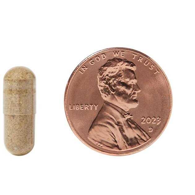 Kidney & Bladder Stone Support for Cats N78138