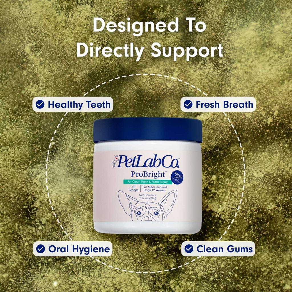 Dog Dental Powder V99252