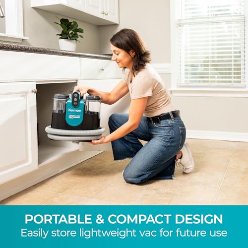 Portable Carpet Spot Cleaner & Pet Stain Remover X7547