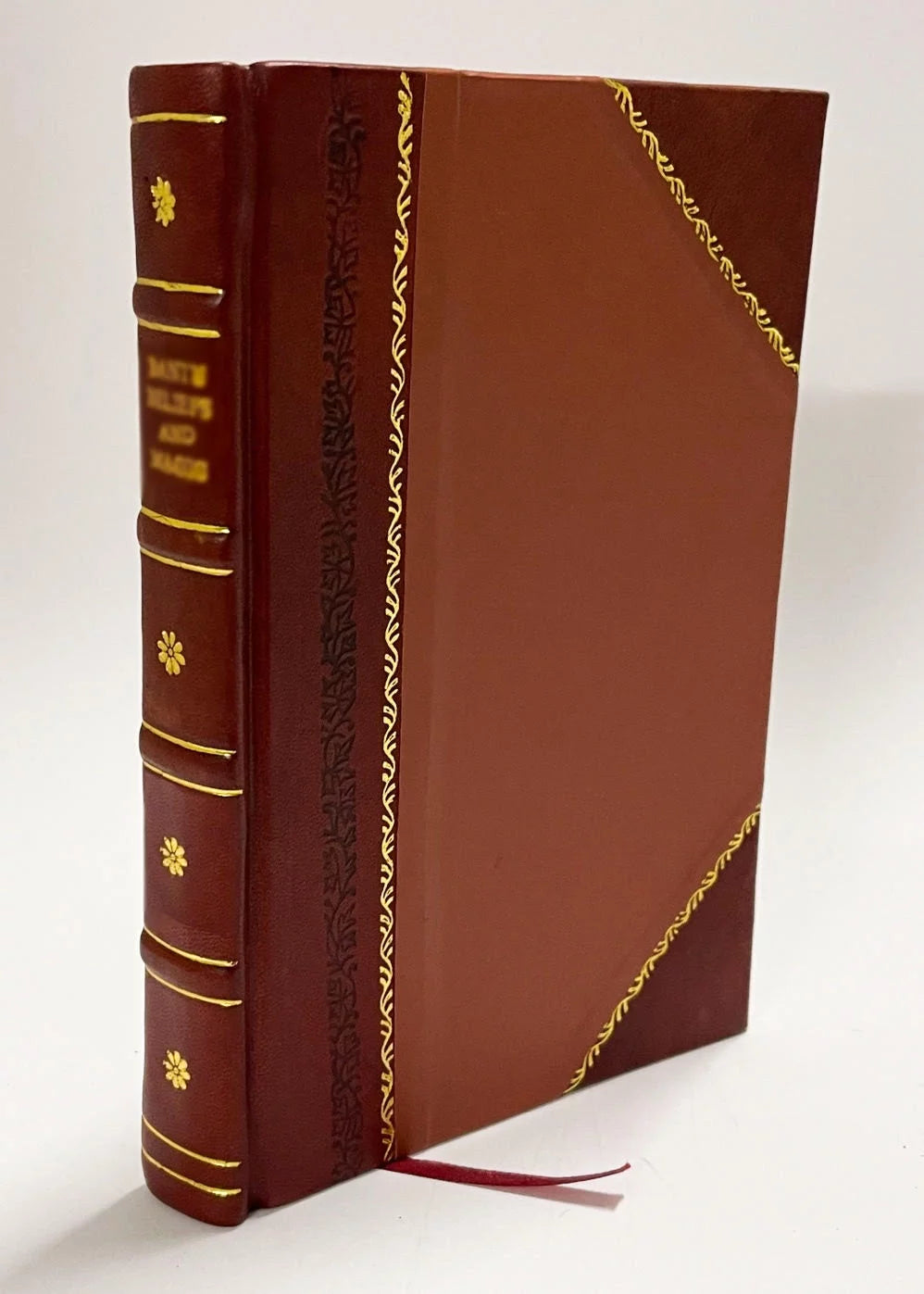 Arkadenmotiv im Obergeschoss des Aachener MuNsters und seine VorgaNger Leather Bound F12378