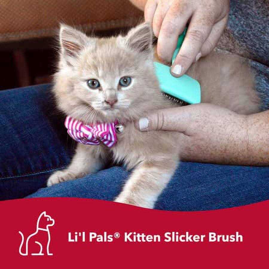 Kitten Slicker Brush with Coated Tips Z56665