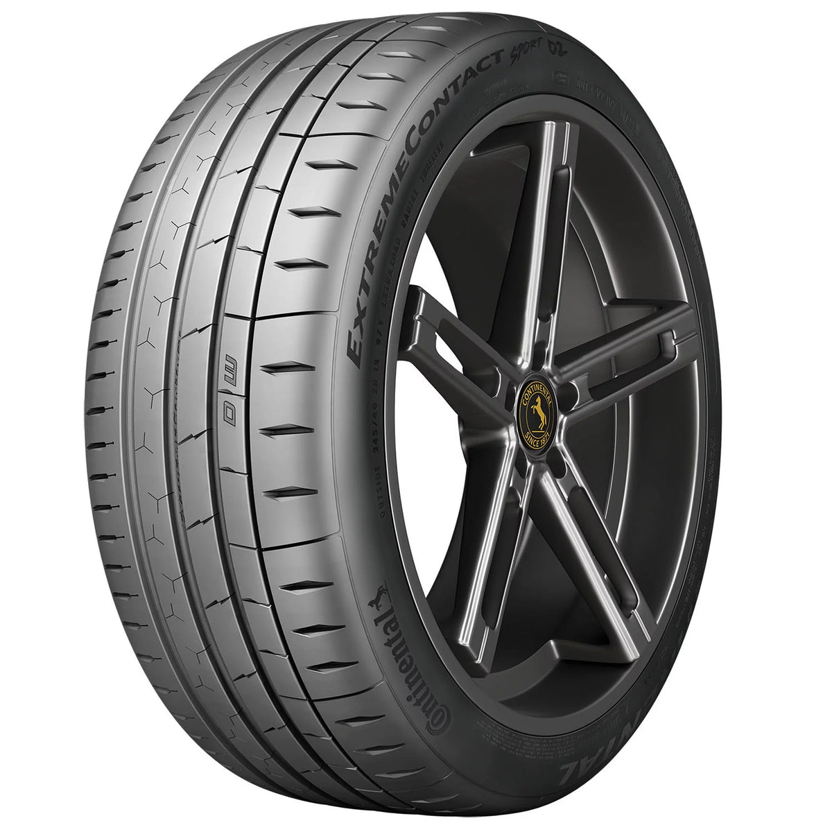 Summer 245/45ZR17 99Y XL Passenger Tire D71053