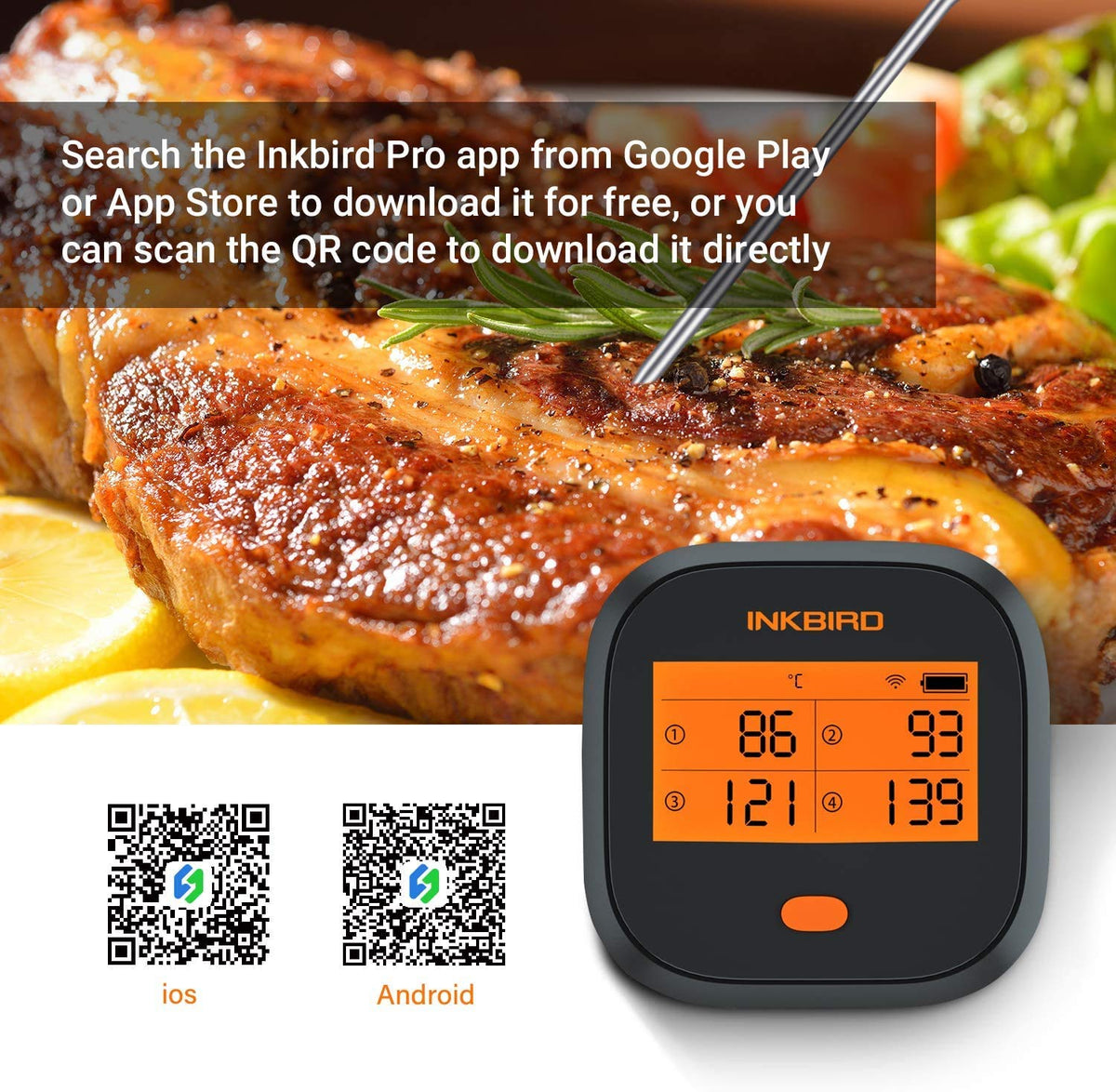 WiFi Meat Thermometer with 4 Probes & Hard Carrying Case E29365