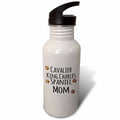 21 oz Sports Water Bottle X9229