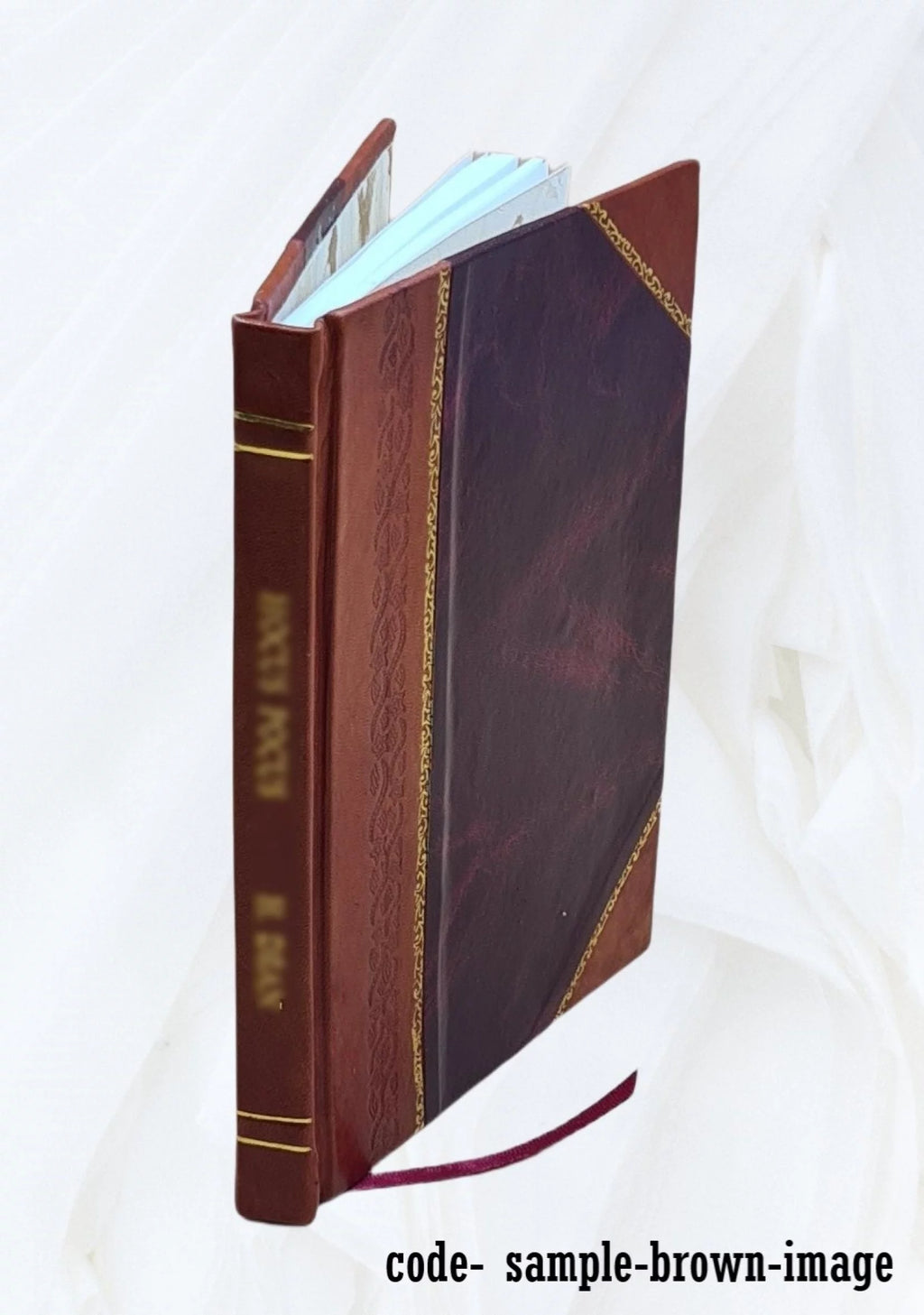 1920 Seed Catalogue Leather Bound D57321