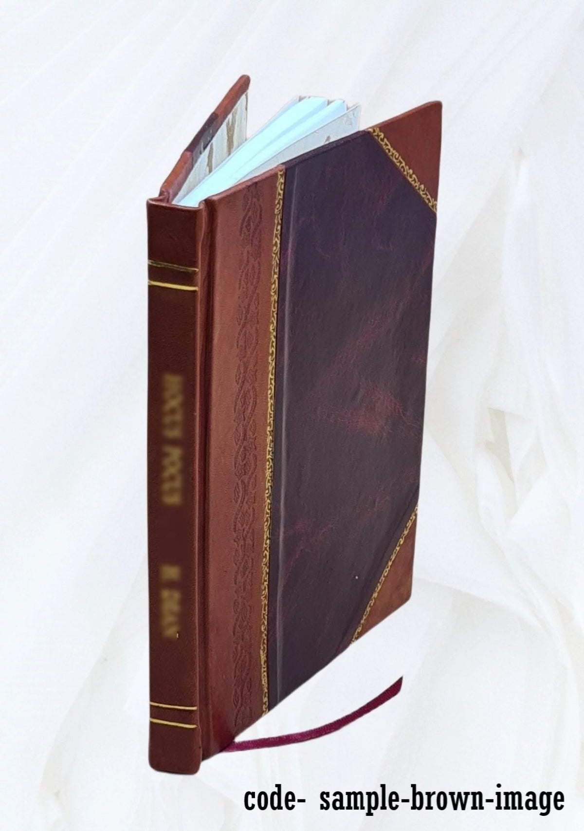 1920 Seed Catalogue Leather Bound D57321