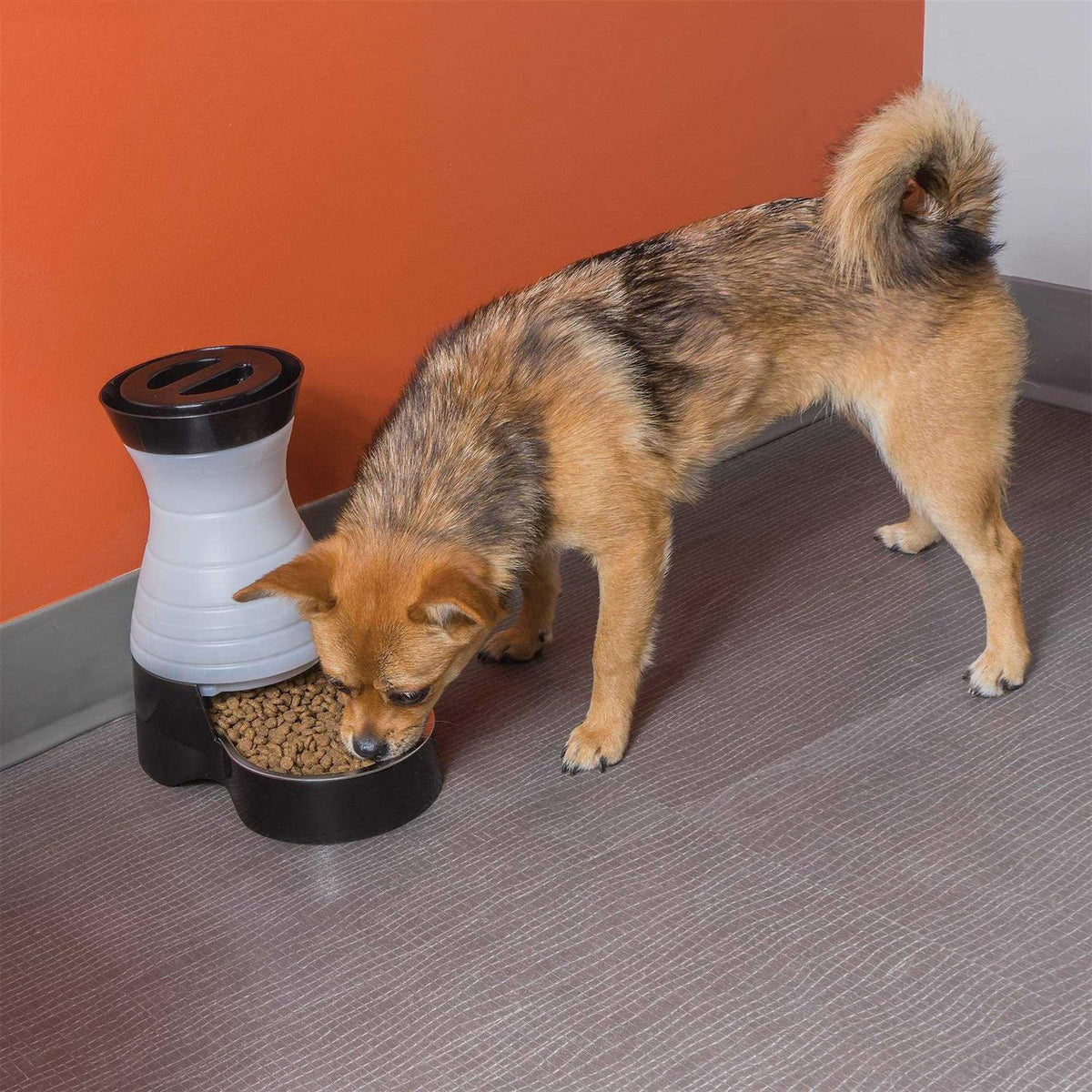 Healthy Pet Food Station K37401