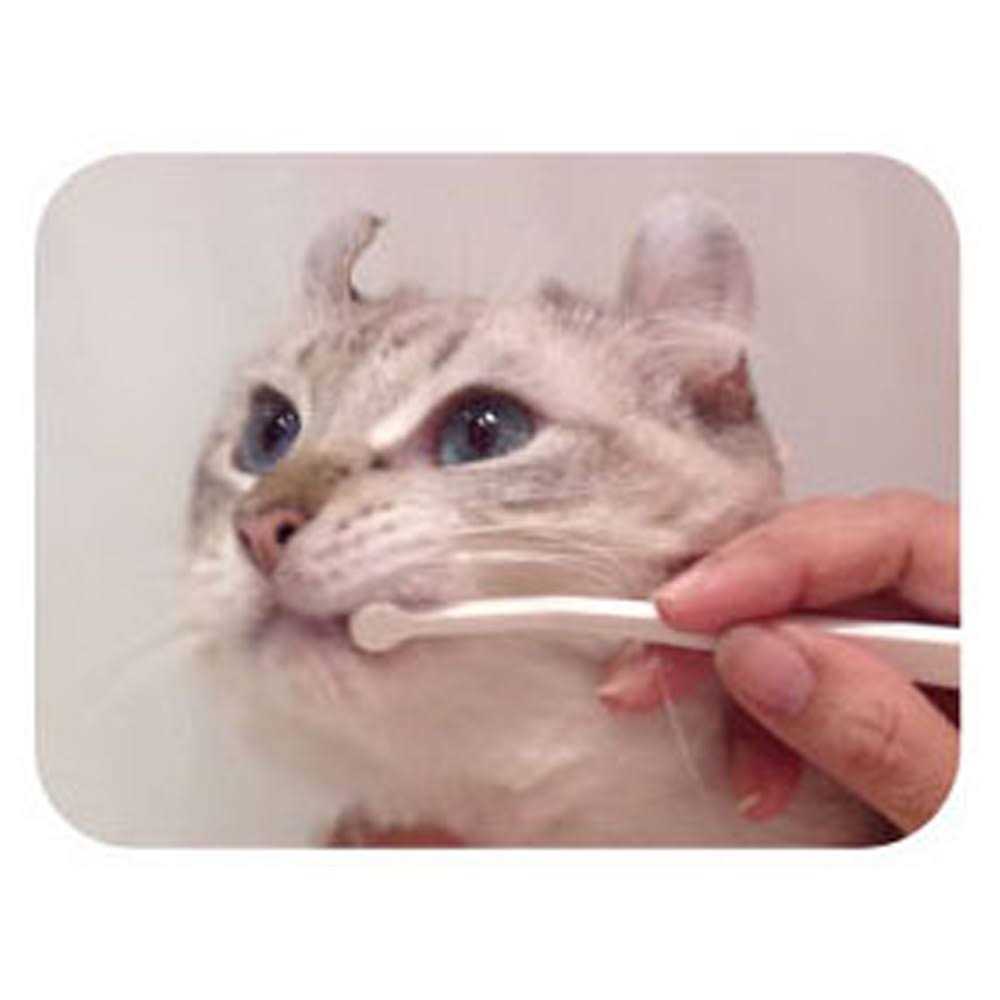 Toothbrush Micro Head for Cats B15211