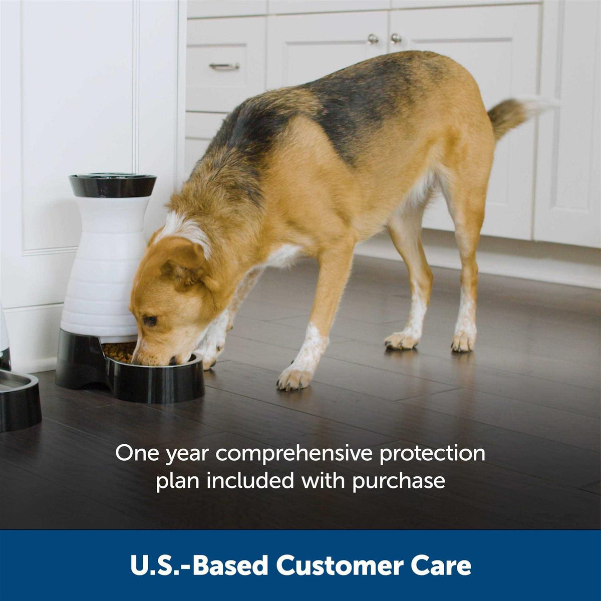 Healthy Pet Food Station K37401
