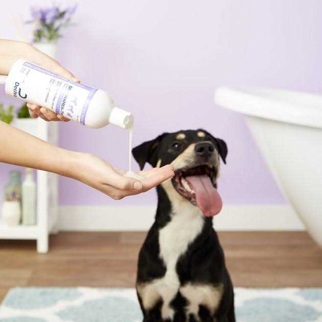 Shampoo for Dogs, Cats and Horses U76133
