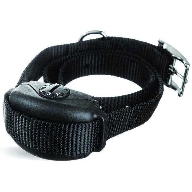 Leash Training Collar Y31383
